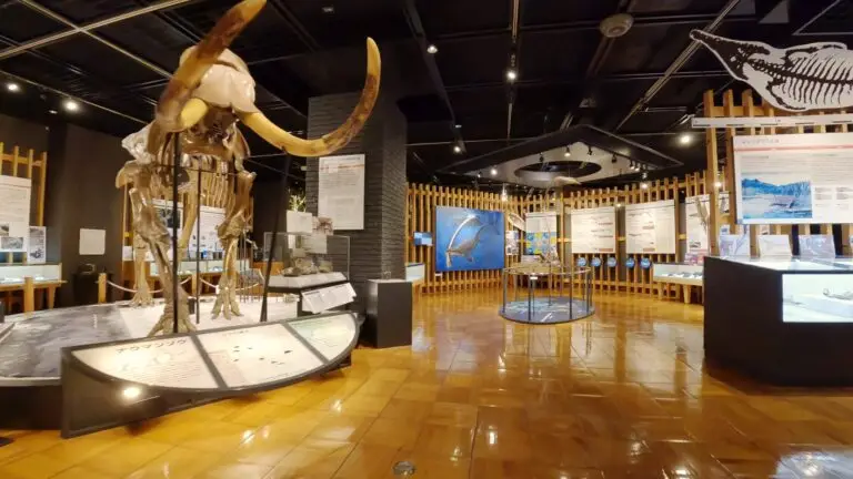 きしわだ自然資料館 様