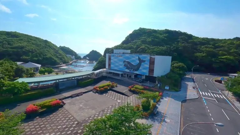 太地町立くじらの博物館 様